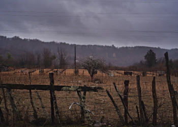 Заброшенное поле – фотографии Абхазии
