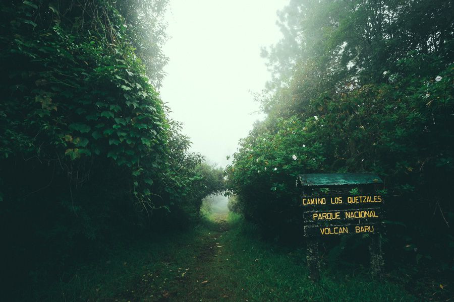 Тропа Сендеро-де-лос-Кетцалес в окрестностях вулкана Бару, Панама – фотографии Панамы