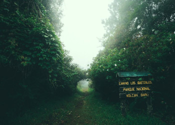 Тропа Сендеро-де-лос-Кетцалес в окрестностях вулкана Бару, Панама – фотографии Панамы