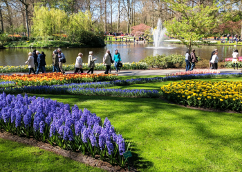 Территория Парка Кёкенхоф в Нидерландах составляет 32 гектара  – фотографии Нидерландов