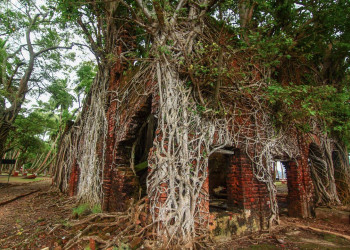 Туристический остров Росс (Ross Island), Индия – фотографии Индии