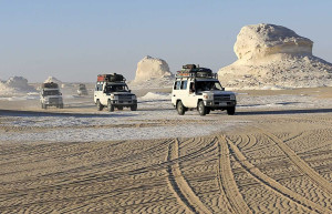 Оазис Бахария 8 – фотографии Египта