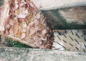 Туннели Ку-Чи или Туннели Ку-Ти – фотографии Вьетнама