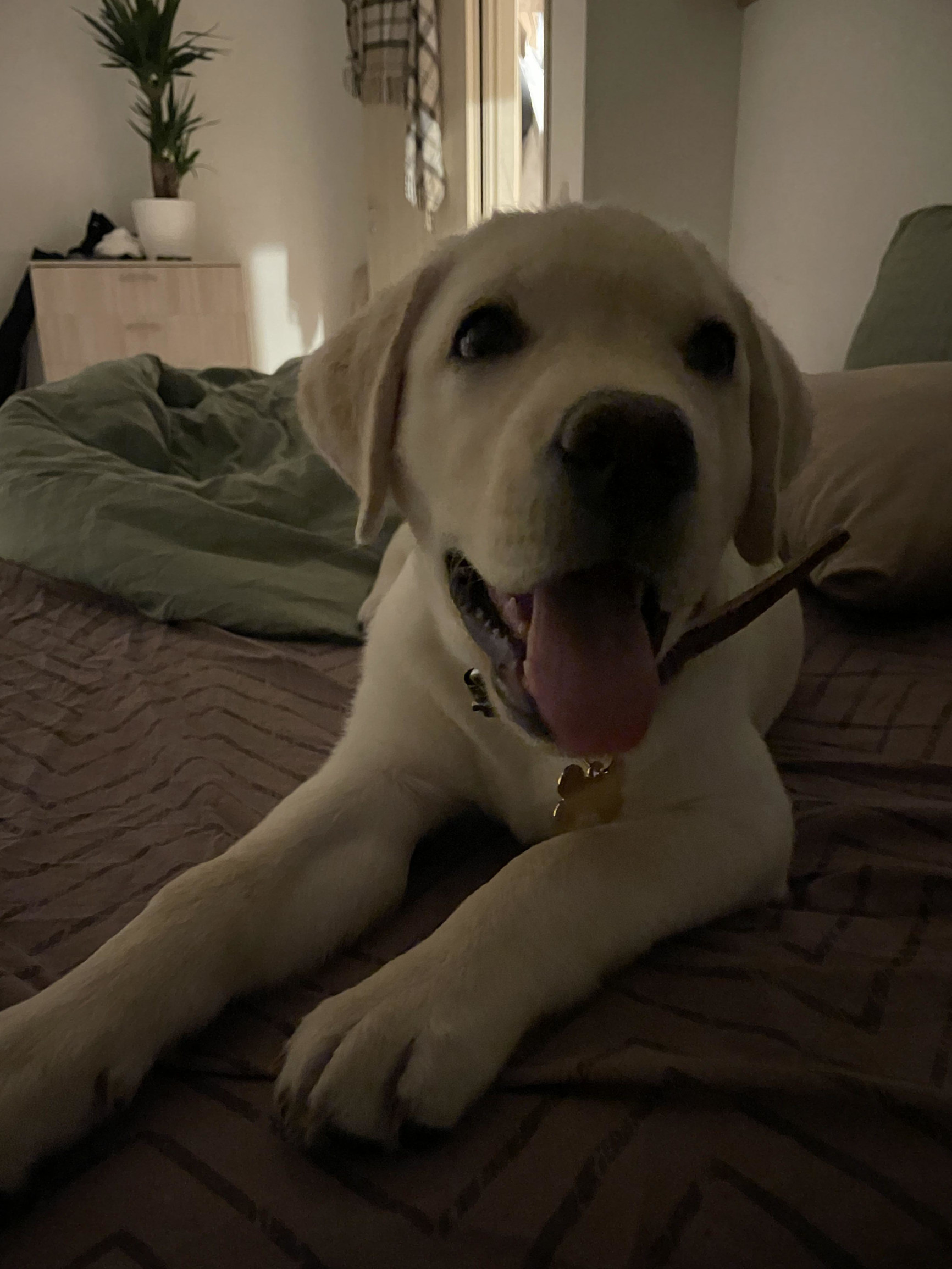 Фото – фотографии России