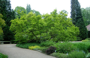 Ботанический сад Линца. Австрия – фотографии Австрии