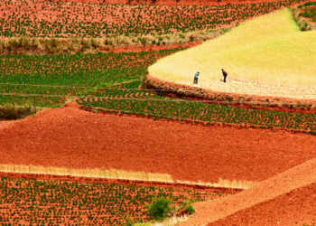 Красные земли Дончуань и крестьяне – фотографии Китая