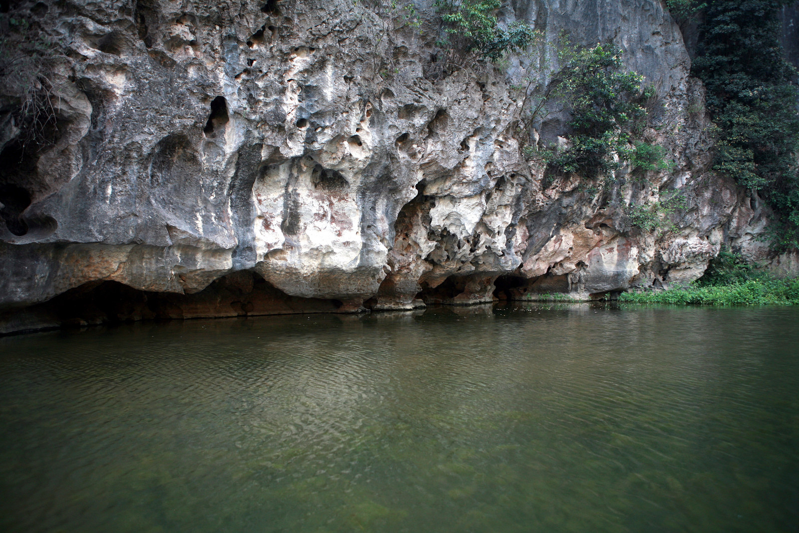 Крупный заповедник водно-болотных угодий Ван-Лонг – фотографии Вьетнама