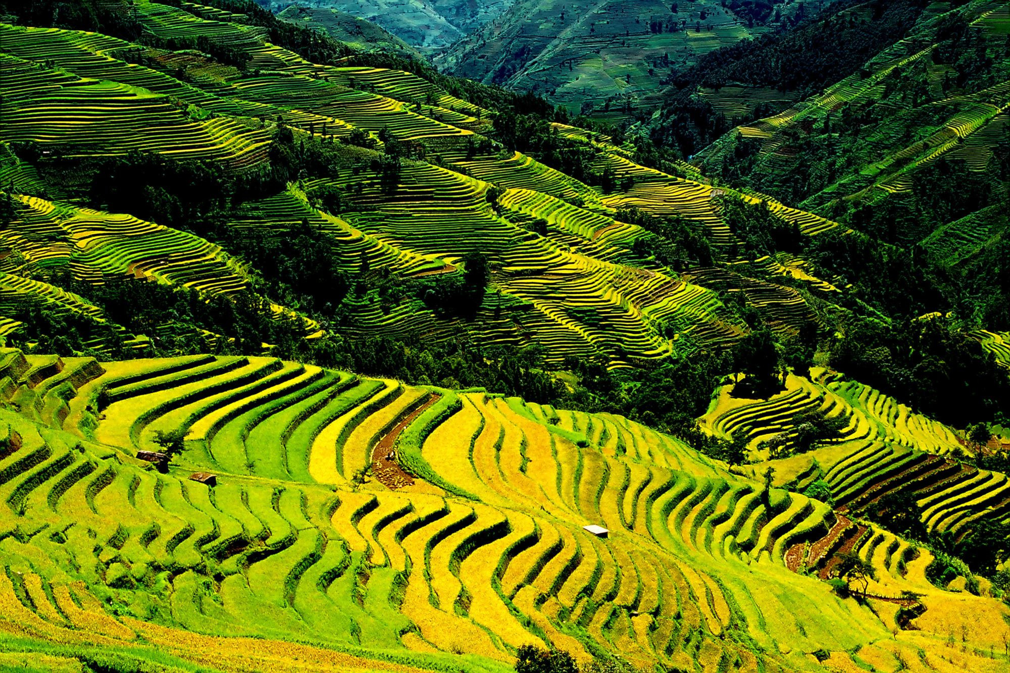 Рисовые террасы Хунхэ-Хани 13 – фотографии Китая