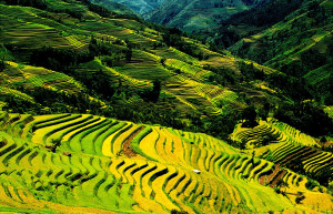 Рисовые террасы Хунхэ-Хани 13 – фотографии Китая