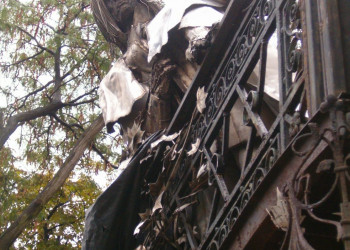 Памятник Ф. Листу на балконе дворца епископа – фотографии Венгрии