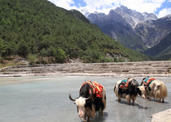 Долина Голубой Луны, если смотреть на неё сверху, по форме напоминает полумесяц – фотографии Китая
