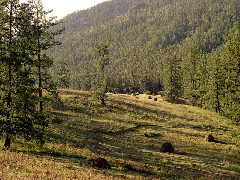 Семинский перевал – фотографии России