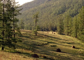 Семинский перевал – фотографии России