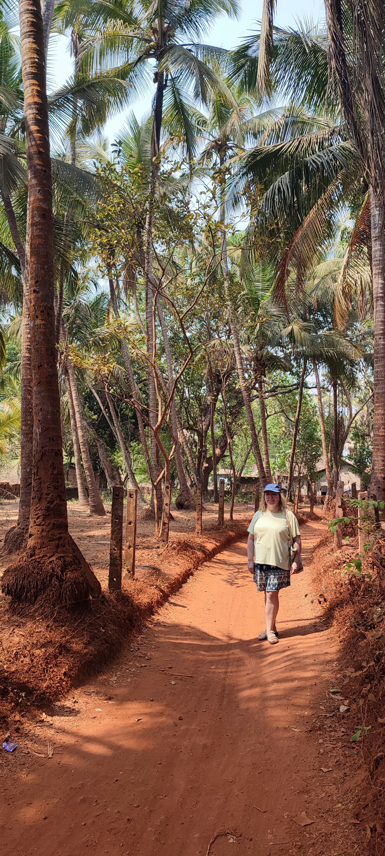 Арамболь – фотографии