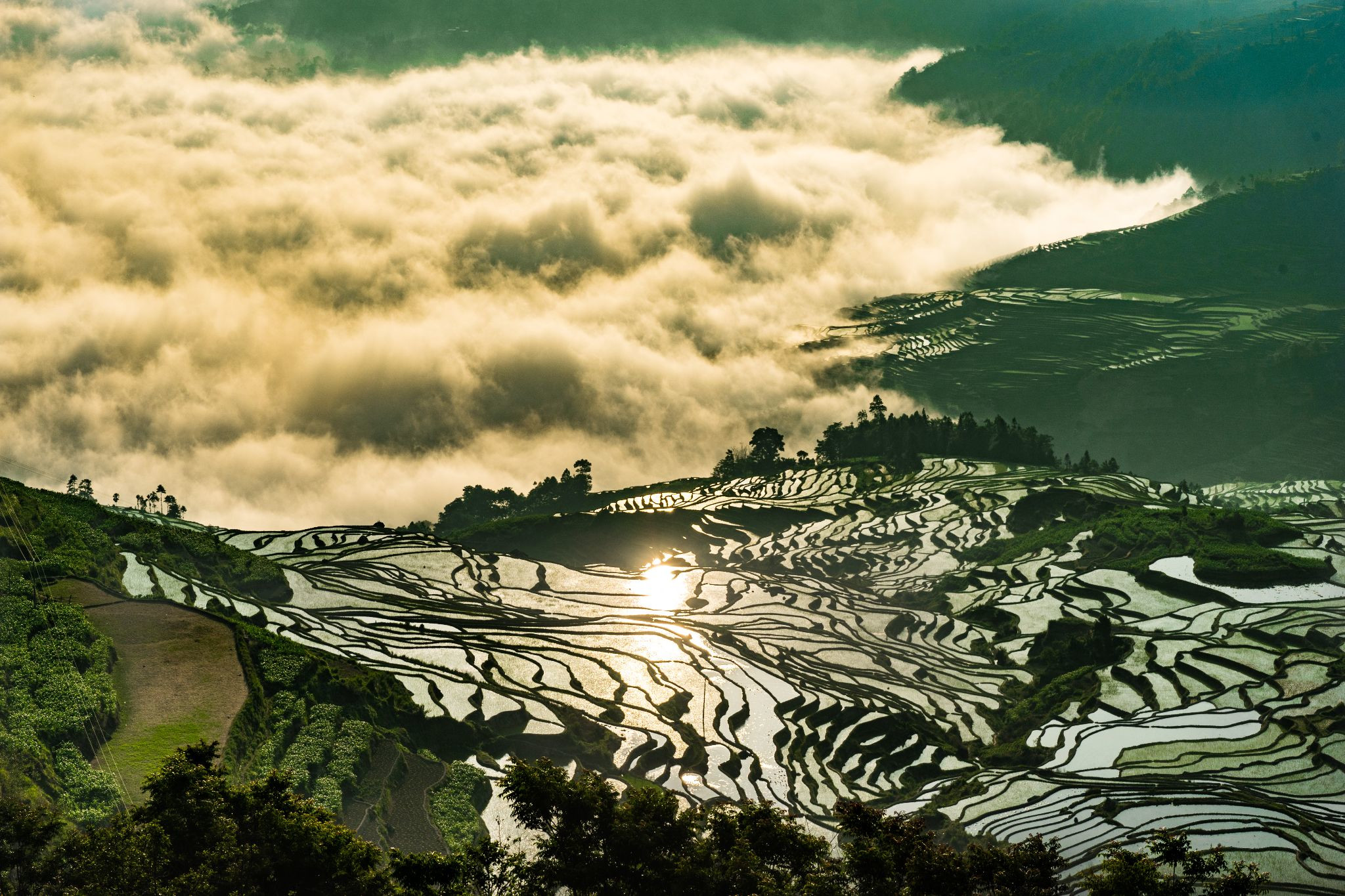 Зрелищные каскады рисовых террас Хунхэ-Хани, Китай – фотографии Китая