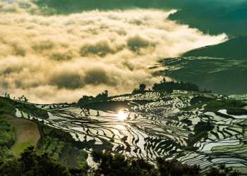 Зрелищные каскады рисовых террас Хунхэ-Хани, Китай – фотографии Китая