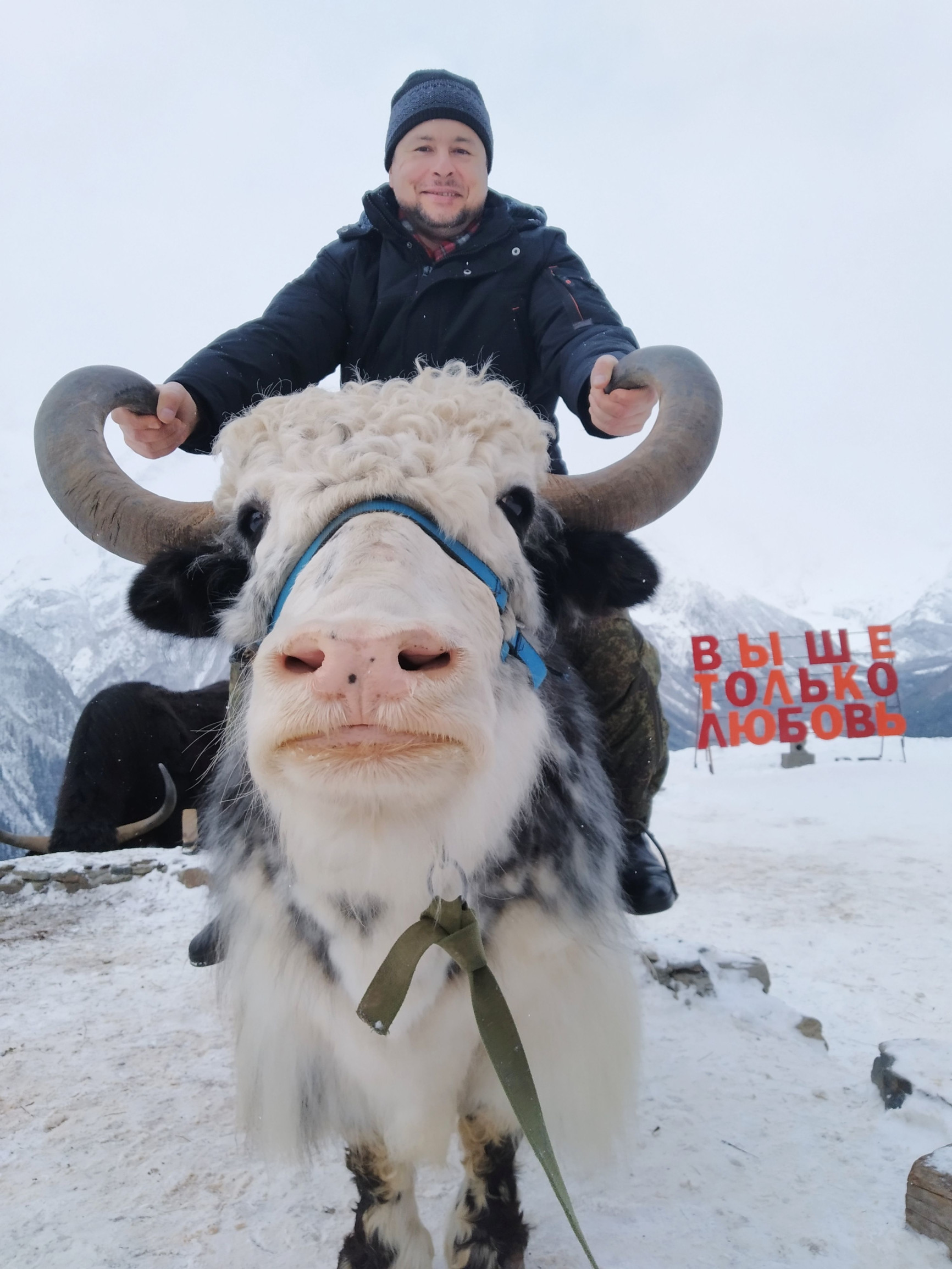 Домбай – фотографии России
