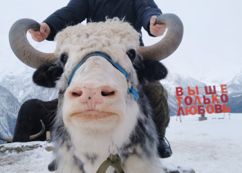 Домбай – фотографии России