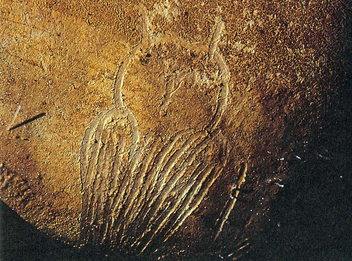 Доисторическое искусство в пещере Шове (Grotte Chauvet) во Франции – фотографии Франции