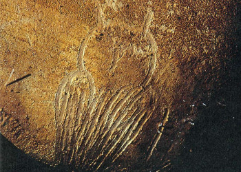 Доисторическое искусство в пещере Шове (Grotte Chauvet) во Франции – фотографии Франции