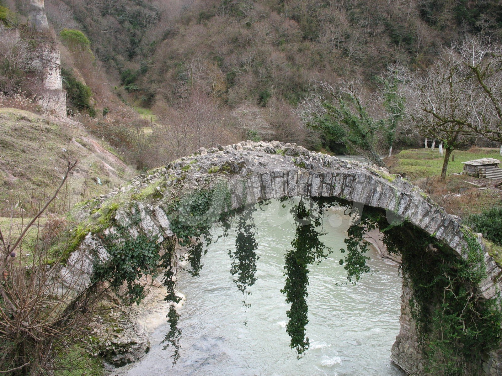 Цветущий каменный мост. Сухум – фотографии Абхазии
