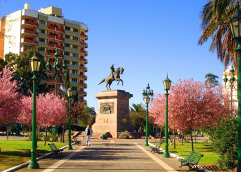 Цветущий парк и памятник всадника. Санта Роса. Аргентина.  – фотографии Аргентины