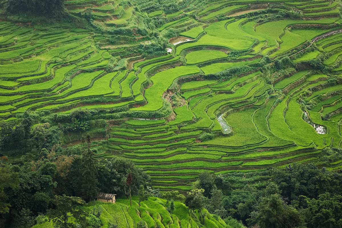 Ландшафт рисовых террас Хунхэ-Хани (Honghe Hani Rice Terraces) в Китае – фотографии Китая