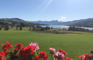 Цветущий Фёклабрук. Австрия – фотографии Австрии