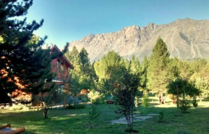 Хвойный лес. Национальный парк Лаго Пуэло. Аргентина. – фотографии Аргентины