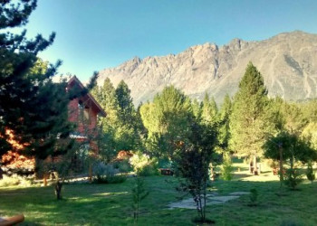 Хвойный лес. Национальный парк Лаго Пуэло. Аргентина. – фотографии Аргентины