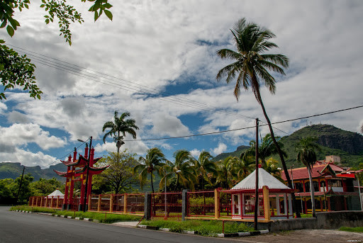 Парк с Пальмами в Порт-Луи. Маврикий – фотографии Маврикия