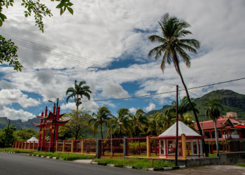Парк с Пальмами в Порт-Луи. Маврикий – фотографии Маврикия