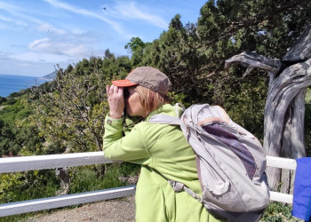 Май 2022 – фотографии России