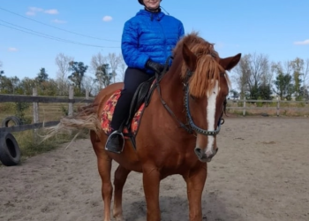 Конная прогулка – фотографии России