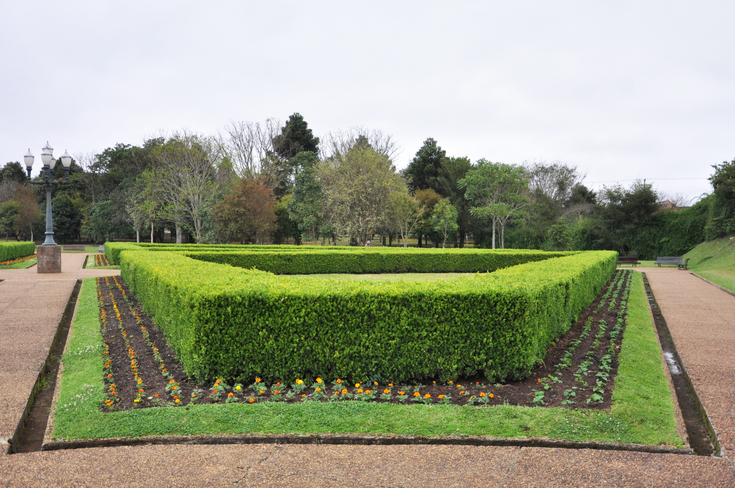 Ботанический сад – фотографии Бразилии