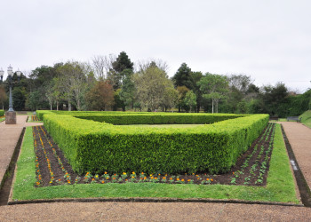 Ботанический сад – фотографии Бразилии