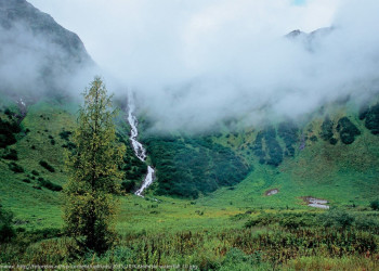 Залитые солнцем луга, поросшие жимолостью, смородиной и черникой есть вокруг Кинзелюкского водопада – фотографии России