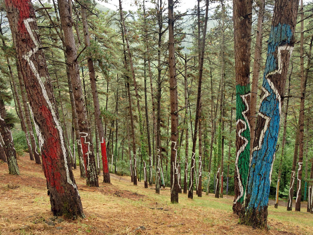 Глаза, радуга, человеческие силуэты, а также геометрические фигуры и абстрактные узоры в лесу Ома – фотографии Испании
