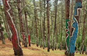 Глаза, радуга, человеческие силуэты, а также геометрические фигуры и абстрактные узоры в лесу Ома – фотографии Испании