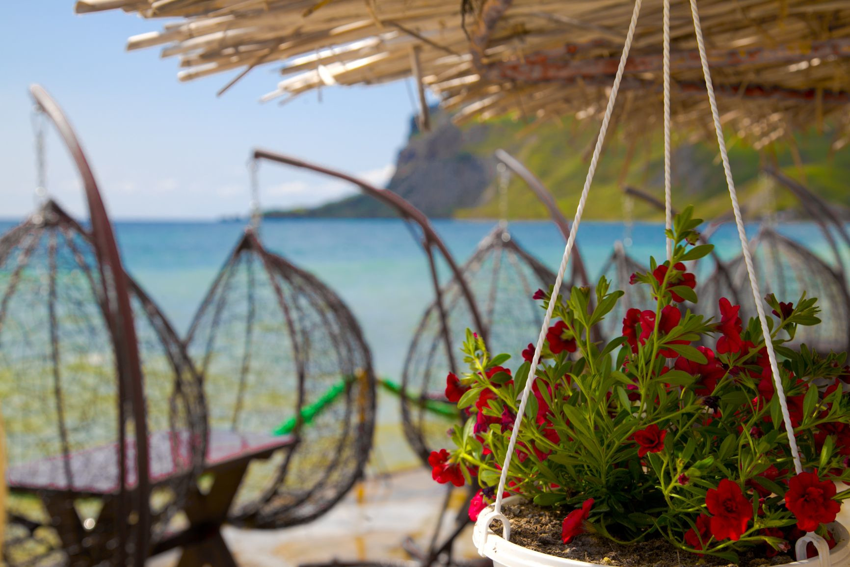 10 – фотографии