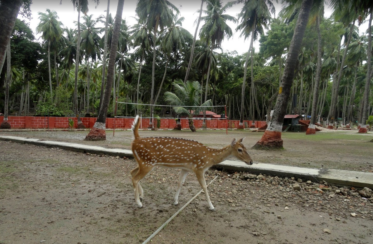 Индийский остров Росс между Индией и Мьянмой – фотографии Индии