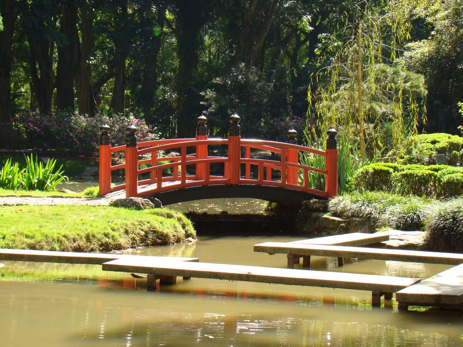 Мостик в ботаническом саду Рио – фотографии Бразилии