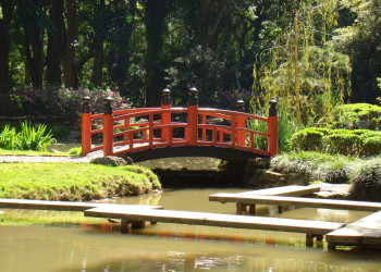 Мостик в ботаническом саду Рио – фотографии Бразилии