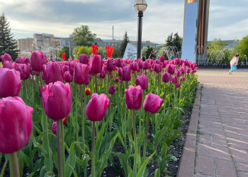 Площадь Победы в Калуге – фотографии России