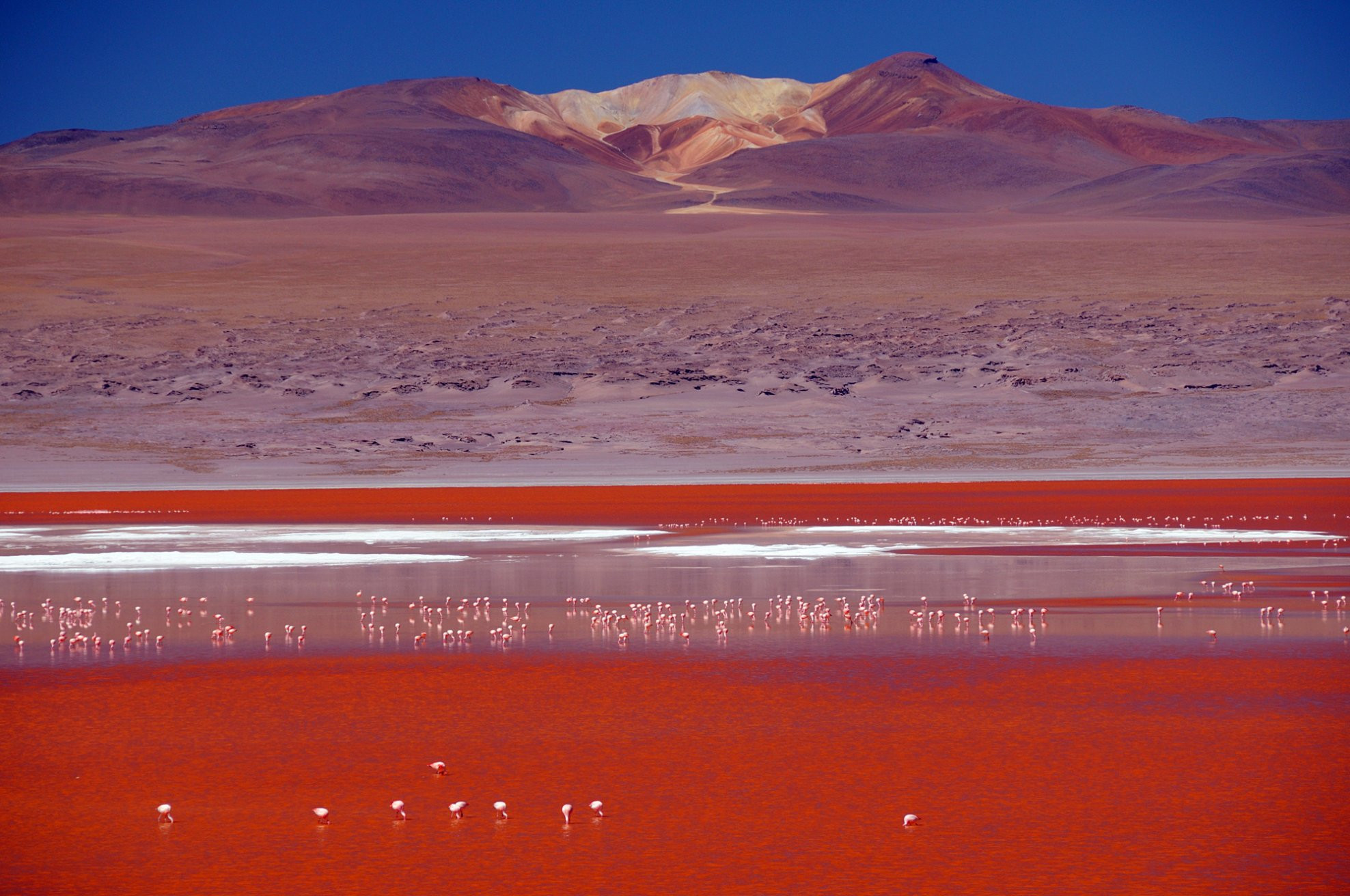 Лагуна Колорадо (Laguna Colorada) – фотографии Боливии