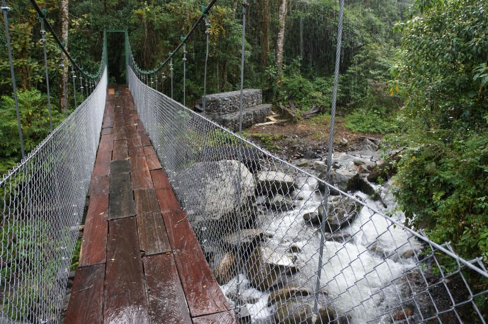 Тропа Сендеро-де-лос-Кетцалес (Sendero de los Quetzales), Панама – фотографии Панамы