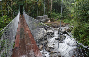 Тропа Сендеро-де-лос-Кетцалес (Sendero de los Quetzales), Панама – фотографии Панамы
