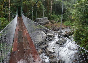 Тропа Сендеро-де-лос-Кетцалес (Sendero de los Quetzales), Панама – фотографии Панамы