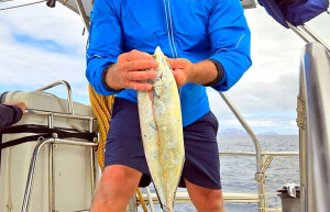 Ужин есть... Попалась редкая рыбка маха-маха. – фотографии Португалии