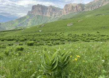Шикарные виды перевала Актопрак – фотографии России